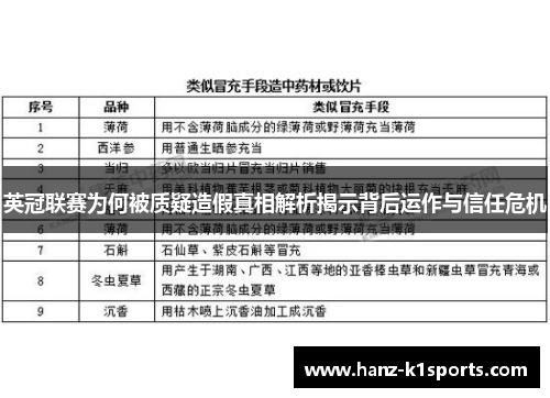 英冠联赛为何被质疑造假真相解析揭示背后运作与信任危机