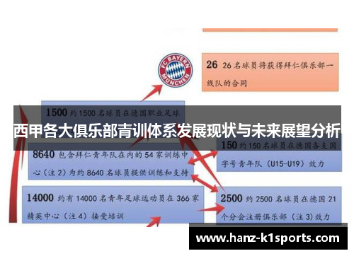 西甲各大俱乐部青训体系发展现状与未来展望分析
